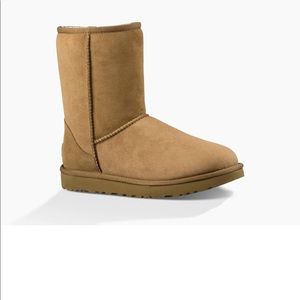 ISO uggs size 8